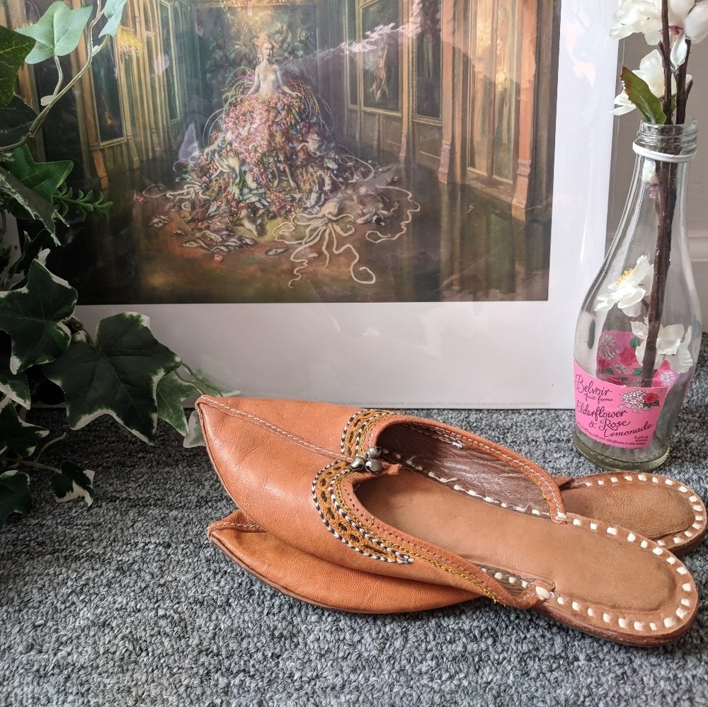 Embroidered Brown Pointed Mules